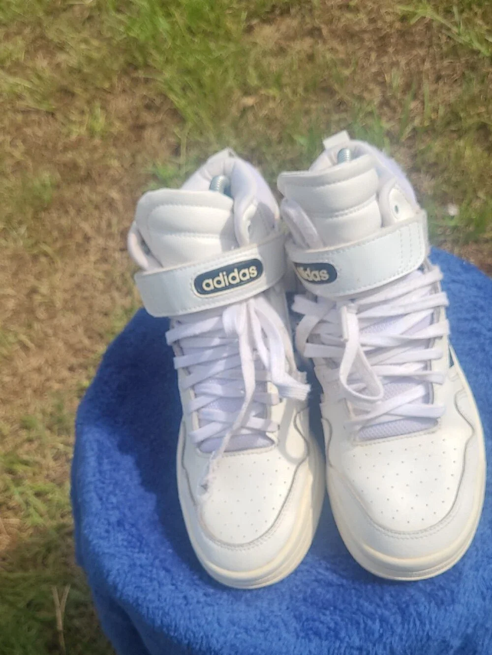 adidas women cloud